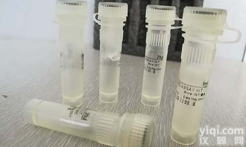 兔抗<em>小鼠</em><em>IgG</em> (H+L)  （<em>小鼠</em><em>IgG</em><em>亲和</em>纯）