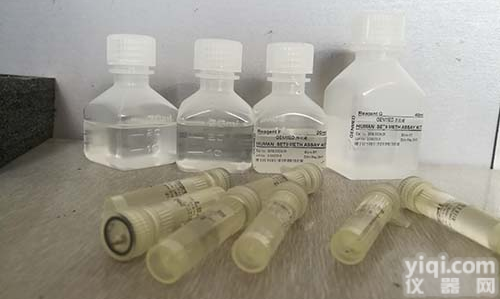 <em>多克隆抗体定制</em>