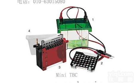 湿转<em>电泳仪</em>、湿式<em>转印</em>槽