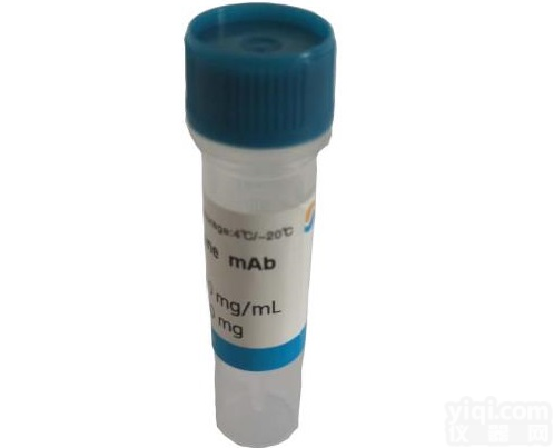 <em>利巴</em><em>韦林</em><em>单克隆</em>抗体