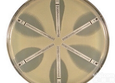 <em>法国</em>梅<em>里埃</em>E-<em>test</em>药敏试条