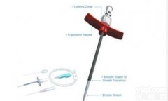 <em>巴德</em>0668945，<em>巴德</em>塞丁格