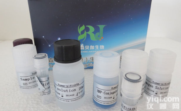 大鼠纤溶酶原激<em>活物</em>1(<em>PAI</em>-1)ELISA试剂盒