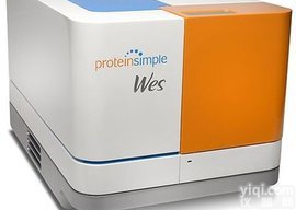 <em>全自动</em><em>蛋白质</em><em>印迹</em>定量分析仪