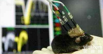 光遗传研究系统，光<em>遗传学</em>系统