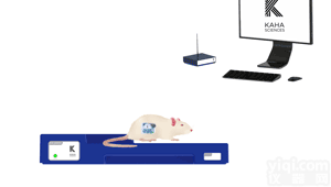 KAHA大鼠体温、交感神经<em>活动度</em>遥测系统