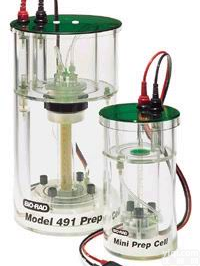 伯乐bio-rad<em>微型</em><em>制备</em>电泳槽491型<em>制备</em>型电泳