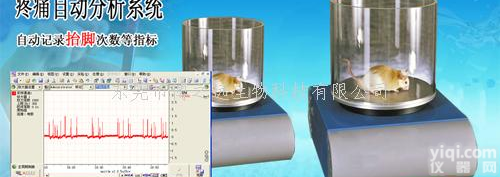 <em>疼痛</em>自动分析<em>系统</em> 小动物<em>疼痛</em>分析<em>系统</em>