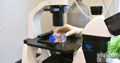 人<em>小鼠</em>大鼠仓鼠犬<em>细胞株</em><em>细胞系</em>