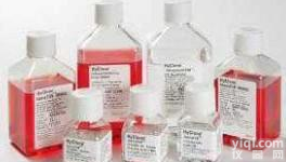 胎牛<em>血清</em>,新西兰【HyClone SH30406.02】