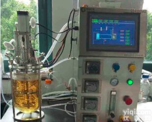 <em>5L玻璃发酵罐</em>