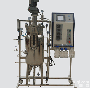 <em>全自动不锈钢发酵罐</em>