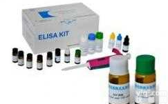 犬<em>游离</em><em>甲状腺素</em>elisa检测<em>试剂盒</em>说明书