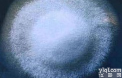 <em>银耳</em>、<em>白木耳</em><em>说明书</em>