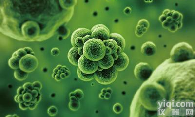 <em>丁香</em>假单胞菌<em>使用说明</em>书