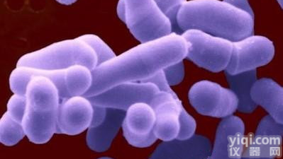 <em>考克</em>氏菌使用<em>说明书</em>