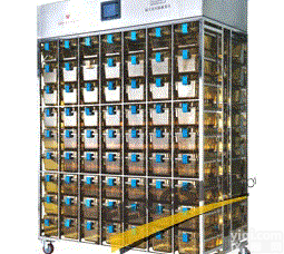 <em>小鼠</em>IVC<em>饲养</em>笼，大鼠IVC<em>饲养</em>笼