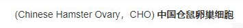 CHO 稳定<em>细胞株</em>开发<em>技术服务</em>方案