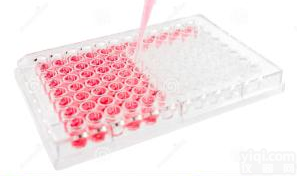 <em>NAD激酶（NADK）测试盒-可见分光光度法</em>