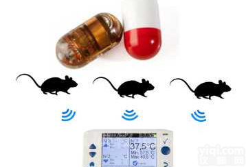 动物<em>体温</em>遥测：大鼠<em>体温</em>测量，<em>小鼠</em><em>体温</em>测量