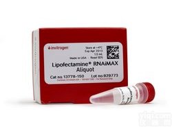 Lipofectamine<em>转染</em>试剂<em>Invitrogen</em> 13778150
