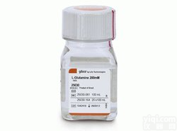 L-<em>谷氨</em><em>酰胺</em>100倍<em>浓缩液</em> 25030081