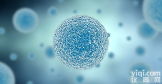 大鼠神经<em>星形</em><em>细胞培养</em><em>试剂盒</em>价格