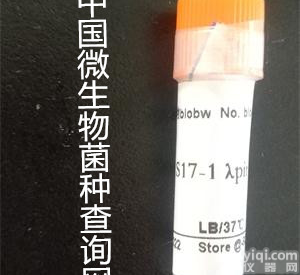 S17-1 λpir<em>美国</em>ATCC<em>质控</em>微生物菌种
