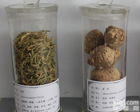 厂家直销<em>生药</em><em>标本</em>药材个货<em>标本</em>中药饮片<em>标本</em>