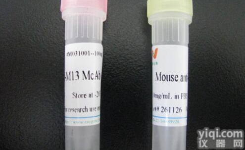 山羊抗<em>小鼠</em>IgG/<em>Alexa</em> <em>Fluor</em> 555进口