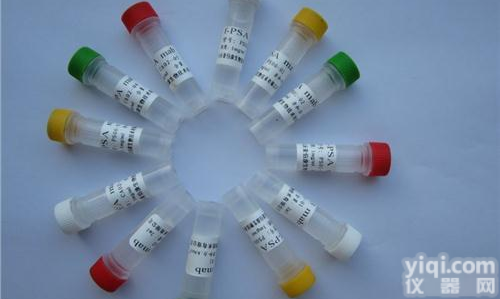 <em>小鼠</em>抗FOXP3单克隆抗体价格