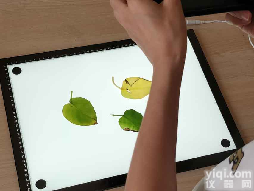 LA-S<em>系列</em>手机拍照款叶面积仪叶面<em>积分</em>析仪