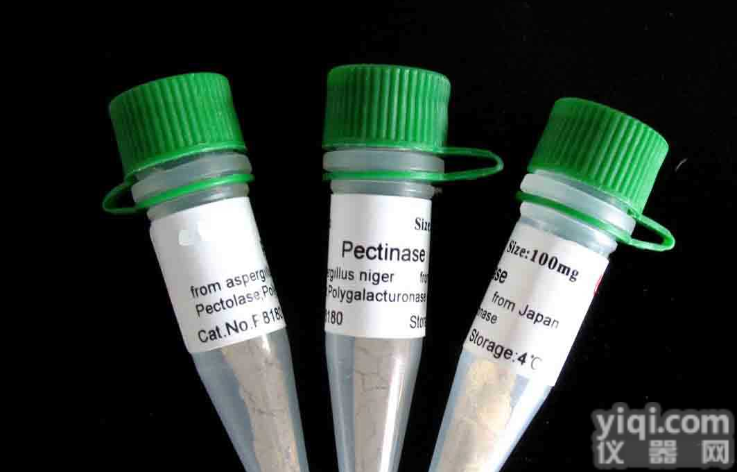 <em>小鼠</em>抗SEMA4D单克隆抗体说明书