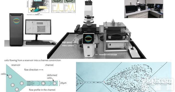高通量<em>单细胞</em>力学<em>荧光</em>测试分析系统