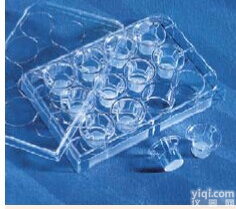 <em>康宁</em>Transwell<em>小室</em> 3422 3412 3450 3460