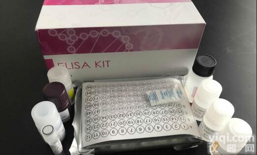 人高<em>香草酸</em>(HVA)<em>检测</em><em>试剂盒</em> 厂家