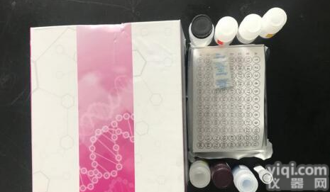 人<em>食欲</em>素<em>受体</em>(OXR)检测<em>试剂盒</em>在哪卖