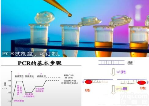 <em>肉毒梭状芽孢杆菌PCR试剂盒多少钱</em>