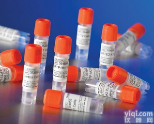 美国康宁gentest<em>药物</em><em>代谢</em><em>动力学</em>试剂产品BD