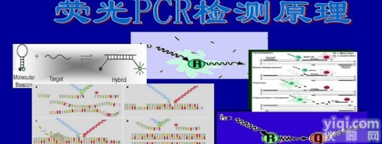 <em>斯氏普罗威登斯菌PCR试剂盒多少钱</em>