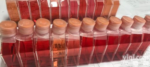 人<em>附睾</em>管<em>上皮</em>细胞