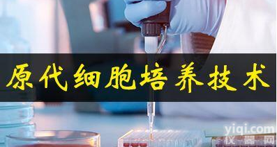 人<em>甲状腺</em><em>微血管</em><em>内皮</em>细胞