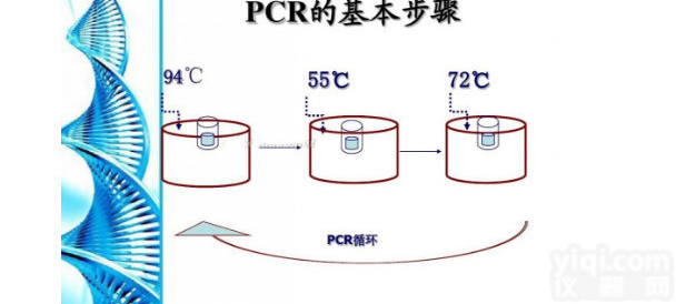 <em>鼻疽假单胞菌PCR试剂盒多少钱</em>
