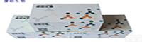 <em>小鼠</em>Ub(<em>ubiquitin</em>)ELISA<em>试剂盒</em>