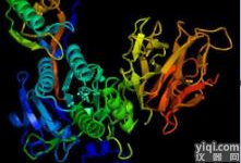 <em>一站式</em> Tricine-SDS-PAGE <em>电泳</em><em>套装</em>