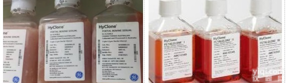 Hyclone<em>血清</em>|胎牛<em>血清</em>,<em>标准型</em><em>澳大利亚</em>
