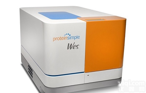Wes全自动蛋白免疫<em>印迹</em><em>定量分析</em>系统