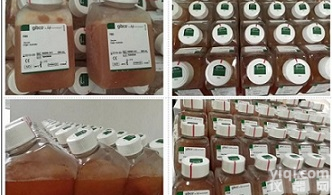 GIBCO<em>血清</em>|胎牛<em>血清</em>,优级<em>10099</em>-158