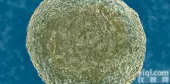 非<em>喜树碱</em>类拓扑<em>异构酶</em>IYZ剂