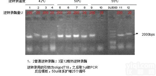 <em>耐热</em>M-MLV<em>逆转录</em>酶 <em>耐热</em>MMLV反转录酶